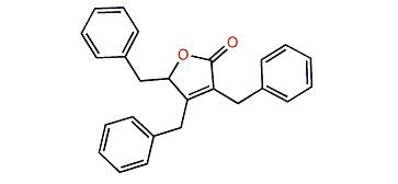 Maculalactone A